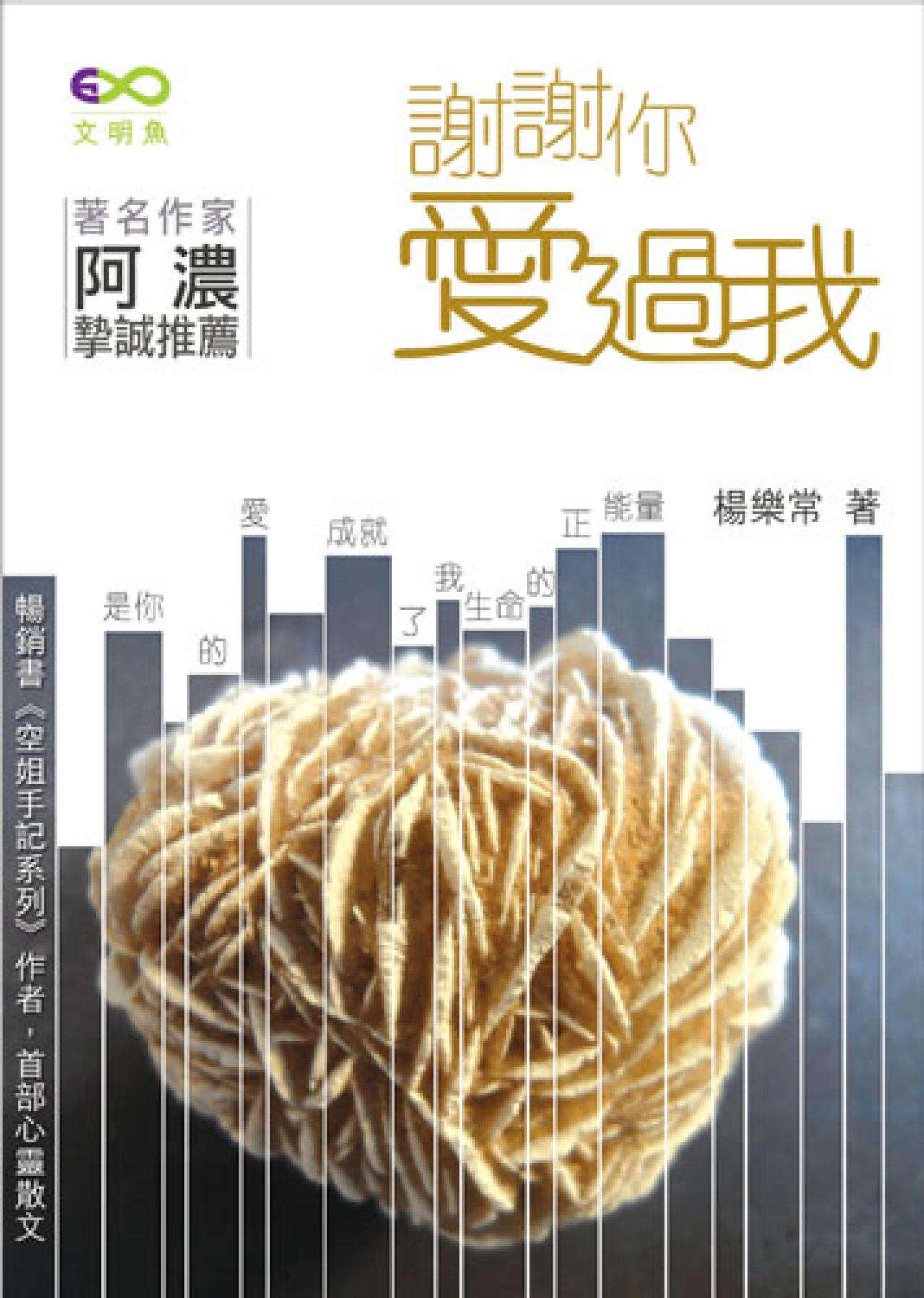 謝謝你愛過我 - 封面